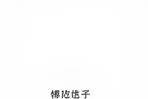 《浮岛公约》修订前后版本对照文件