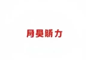 《夜航船计划》立项公开报表与手写批注页面
